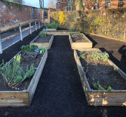 Au fil des saisons les élèves s’impliquent et travail dans les jardins de l’école au cours l’horticulture.